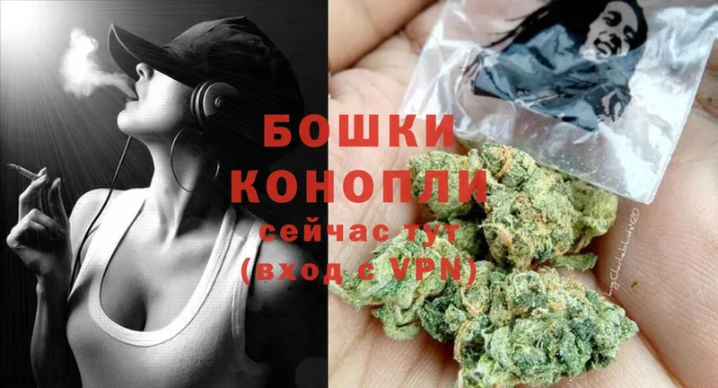 Бошки марихуана THC 21%  наркошоп  Скопин 